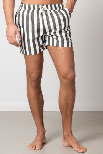 Swim Shorts Bottle Stripe